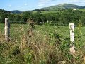 (8) 2009 La Campagne béarnaise
